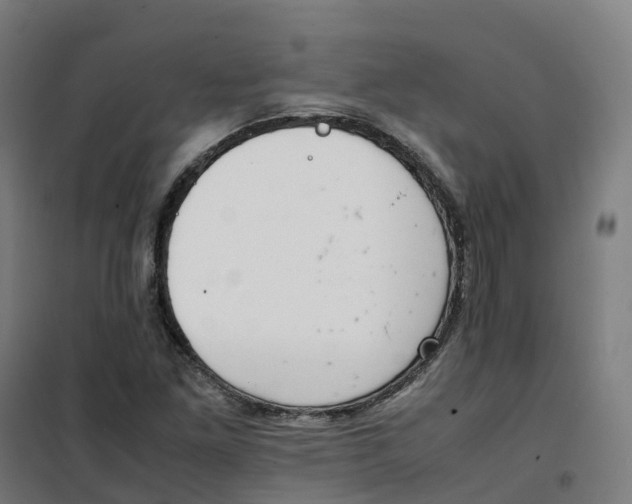 X0000100381261200807031917