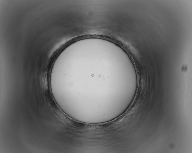 X0000100381262200807031917