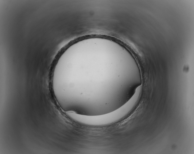 X0000100381264200807031917