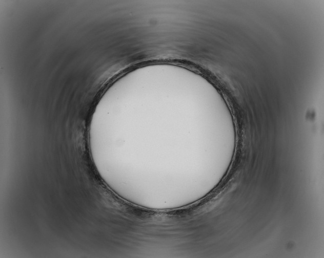 X0000100381265200807031917