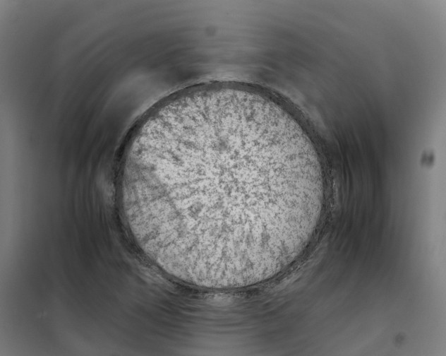 X0000100381266200807031917