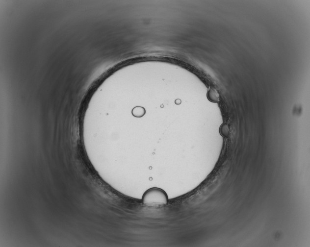 X0000100381267200807031917