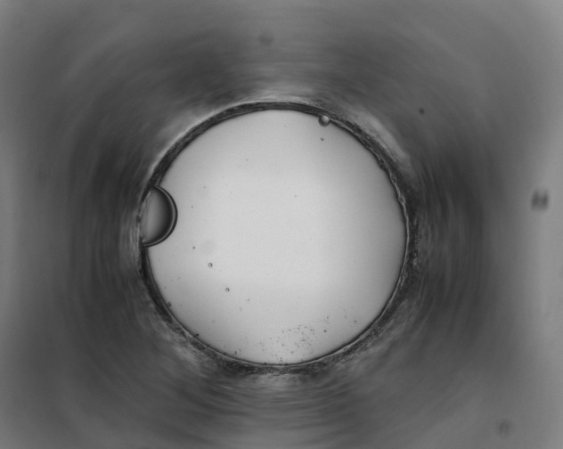 X0000100381268200807031917