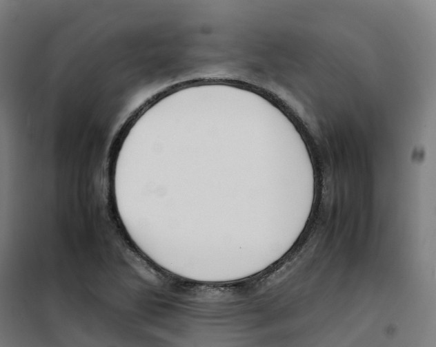 X0000100381270200807031917