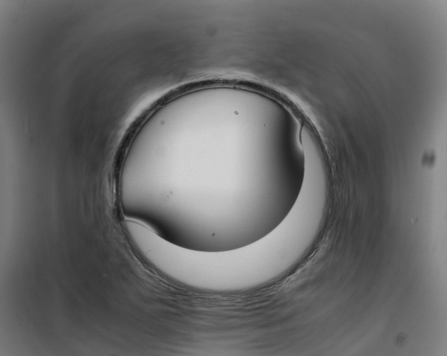 X0000100381271200807031917