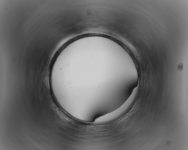 X0000100381272200807031917