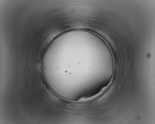 X0000100381273200807031917