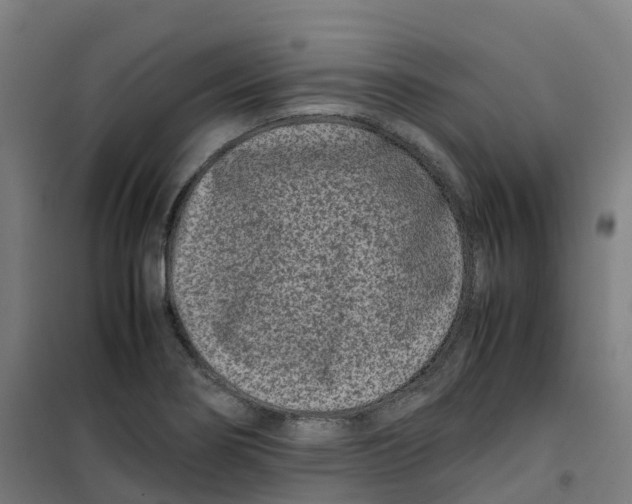 X0000100381274200807031917