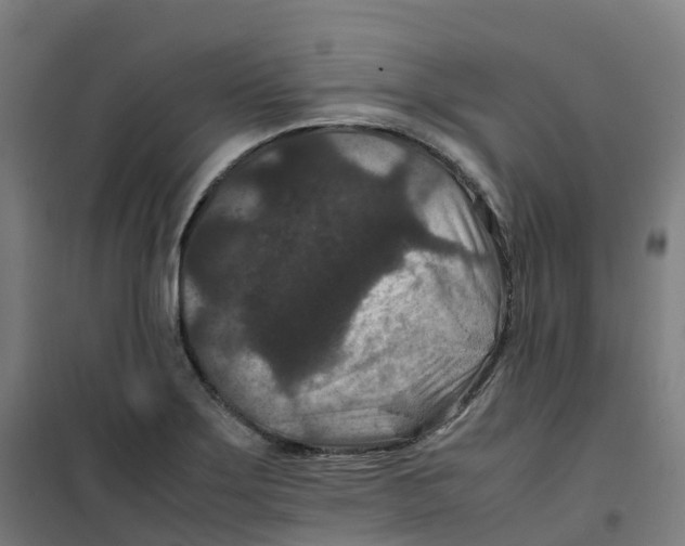 X0000100381275200807031917