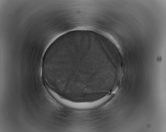X0000100381276200807031917