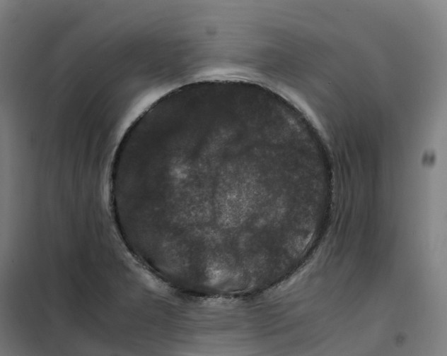 X0000100381277200807031916