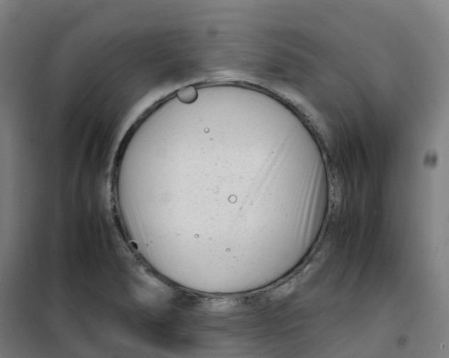 X0000100381278200807031916