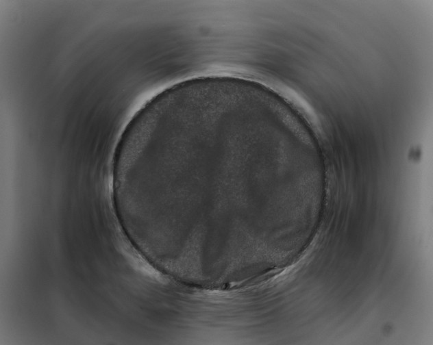 X0000100381280200807031916