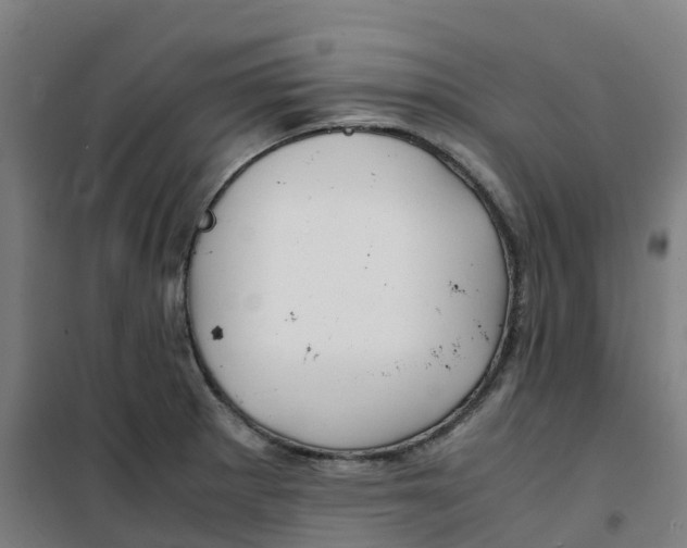 X0000100381281200807031916
