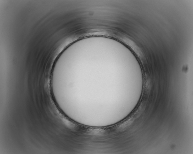 X0000100381282200807031916
