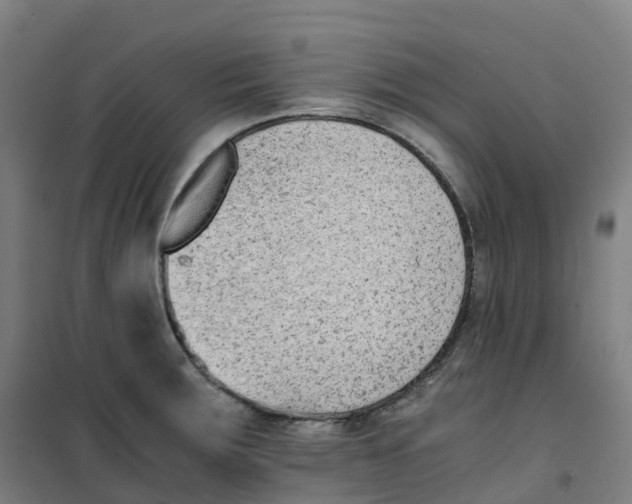 X0000100381283200807031916