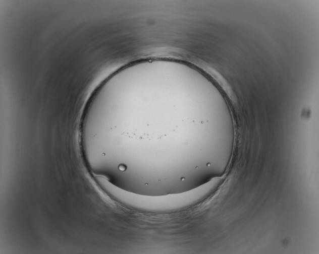 X0000100381285200807031916