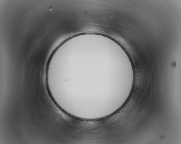 X0000100381286200807031916