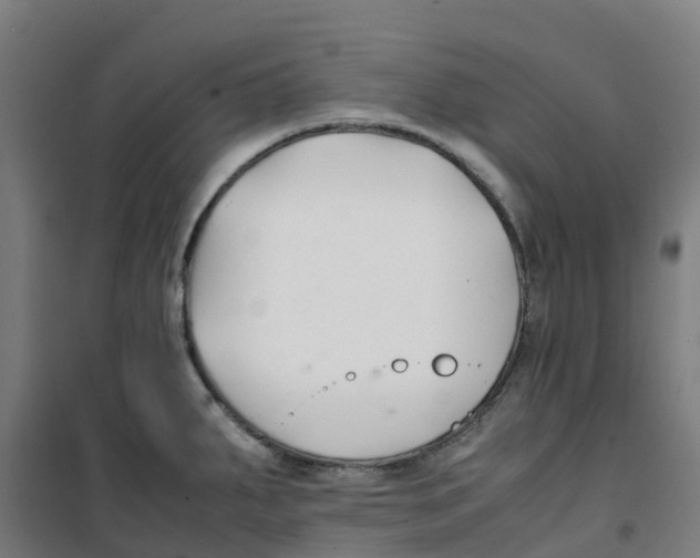X0000100381287200807031916