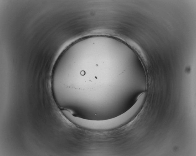 X0000100381288200807031916