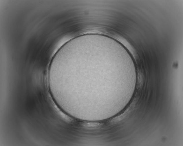 X0000100381290200807031916