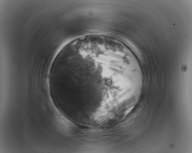X0000100381291200807031916