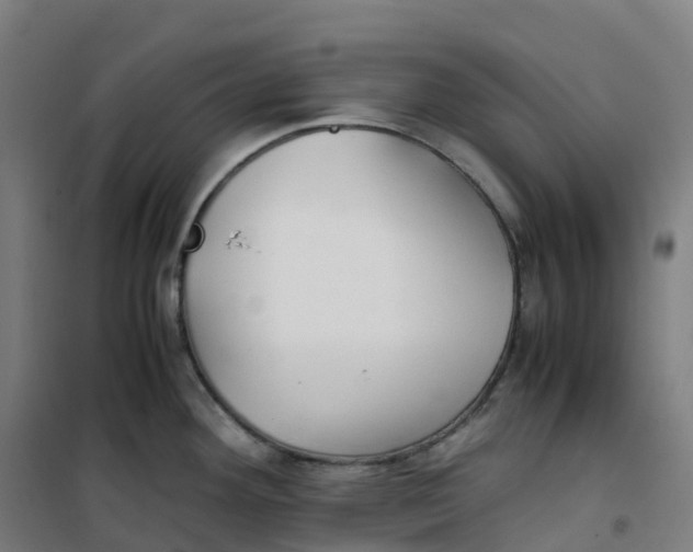X0000100381292200807031916