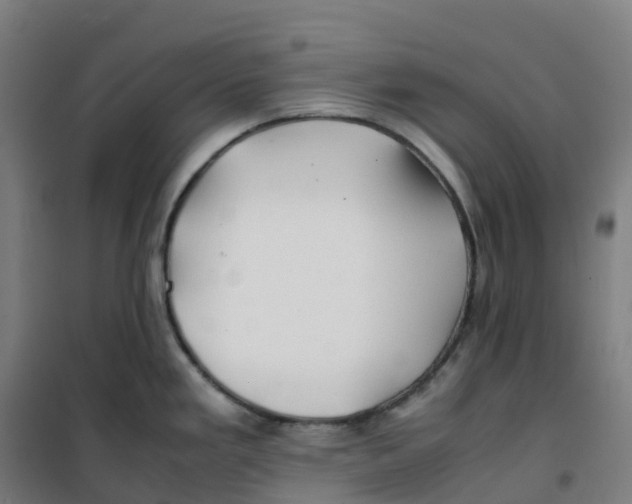 X0000100381293200807031916