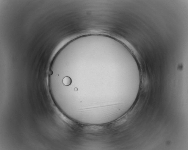 X0000100381294200807031916