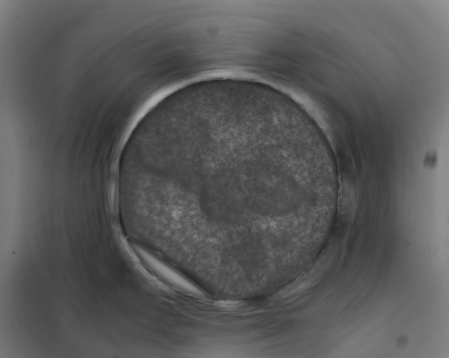 X0000100381295200807031916