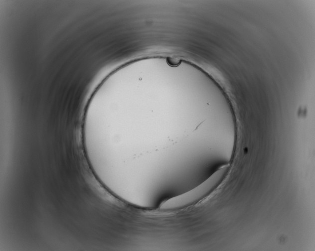 X0000100381296200807031916