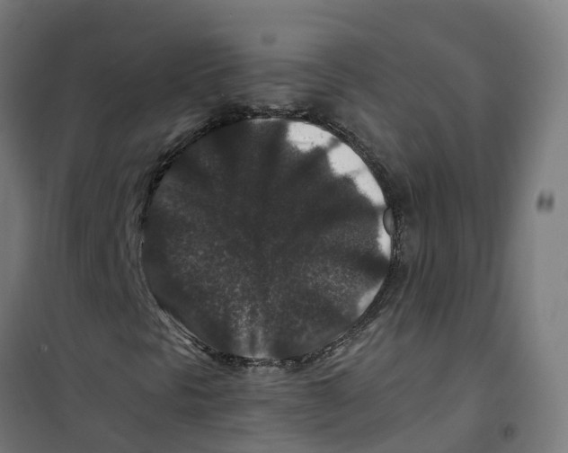 X0000100381297200807031916