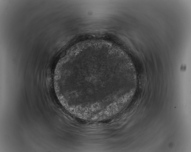 X0000100381298200807031916