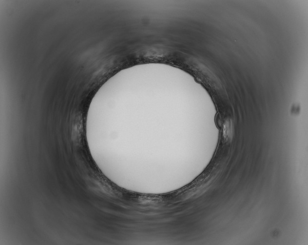 X0000100381299200807031916