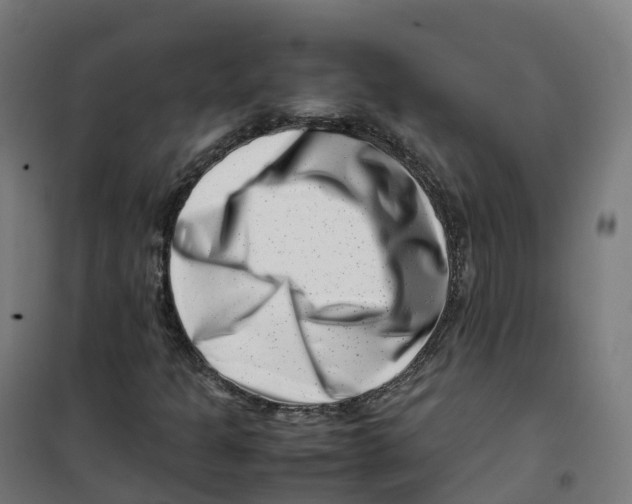 X0000100381301200807031916
