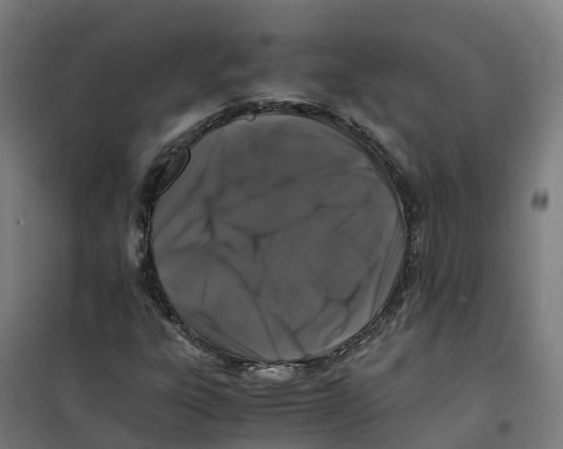 X0000100381303200807031916
