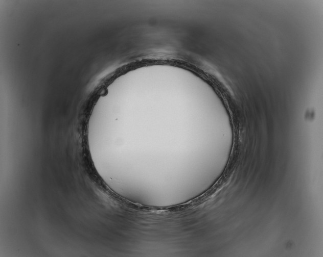 X0000100381304200807031916