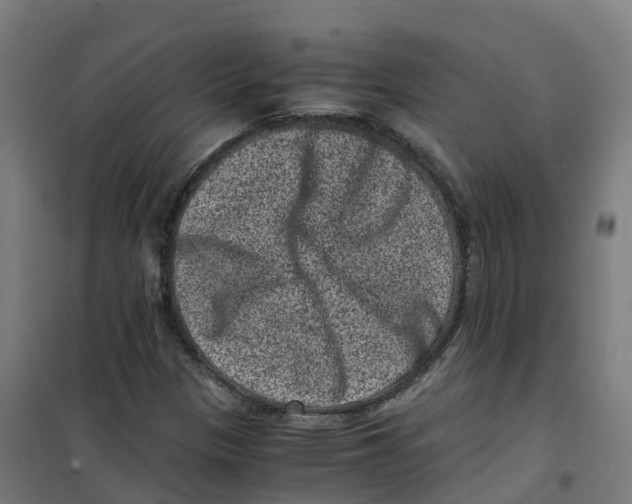 X0000100381305200807031916