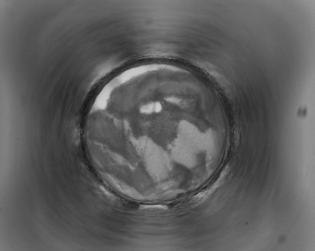 X0000100381306200807031916