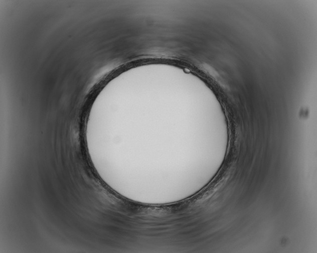 X0000100381307200807031916