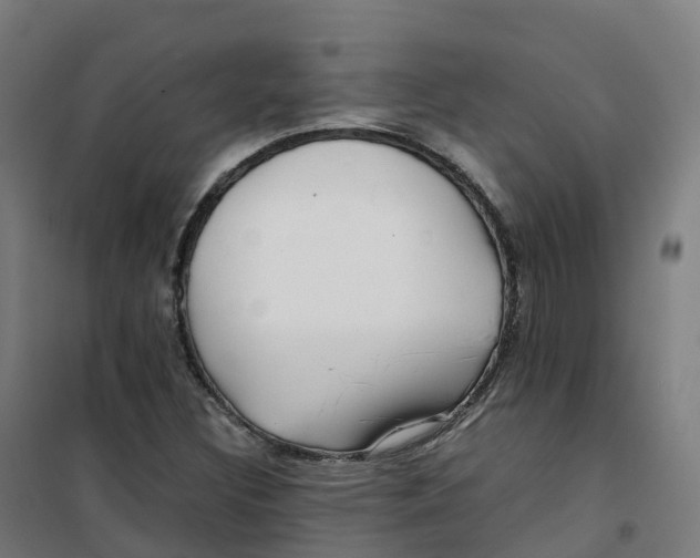 X0000100381308200807031916