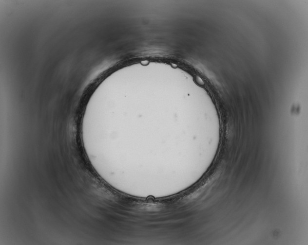 X0000100381309200807031916