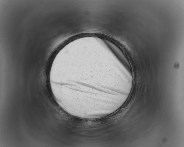 X0000100381311200807031916