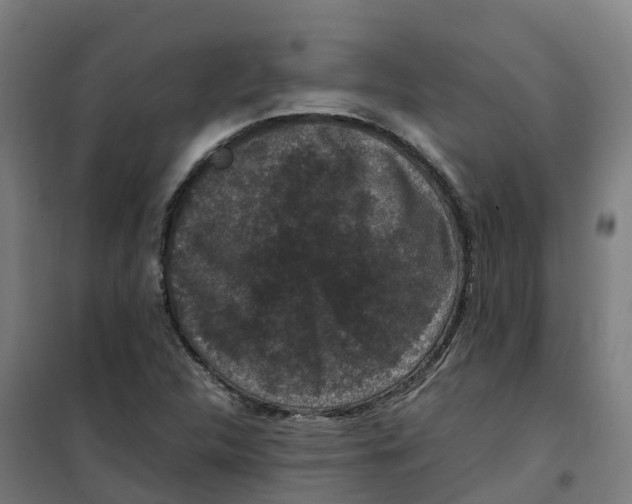 X0000100381312200807031916