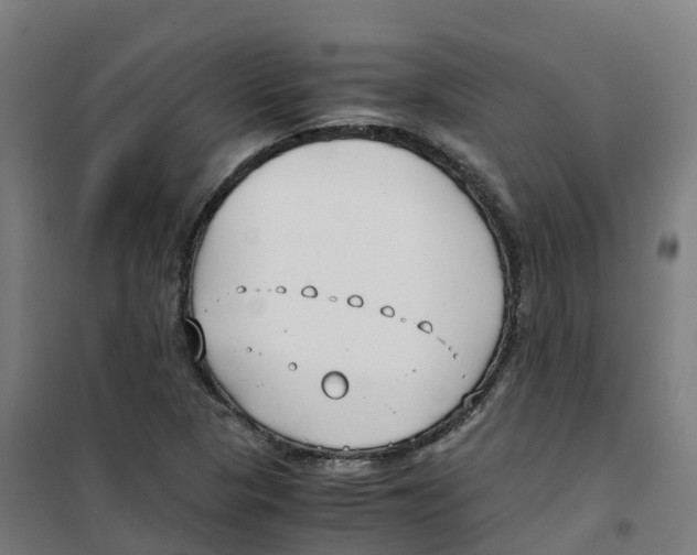 X0000100381313200807031916