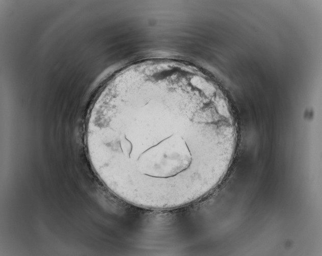 X0000100381314200807031916