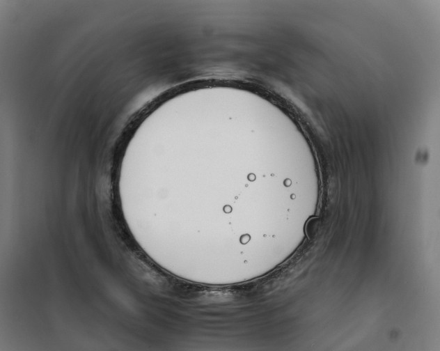 X0000100381315200807031916