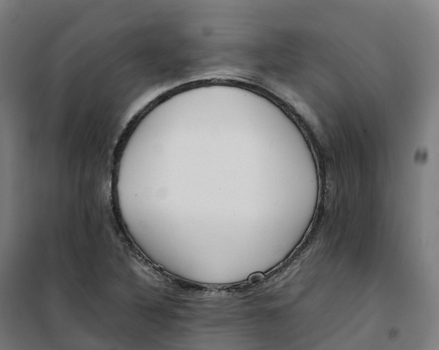 X0000100381316200807031916