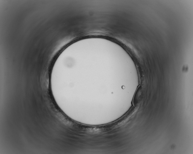 X0000100381317200807031916
