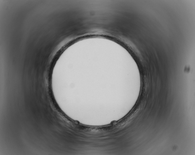 X0000100381318200807031916